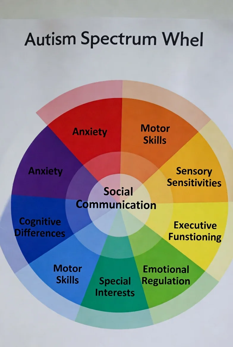 Autism Spectrum Disorder Infographic Diagnosis Criteria Charts And 