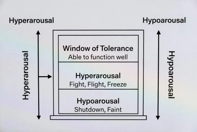 window of tolerance