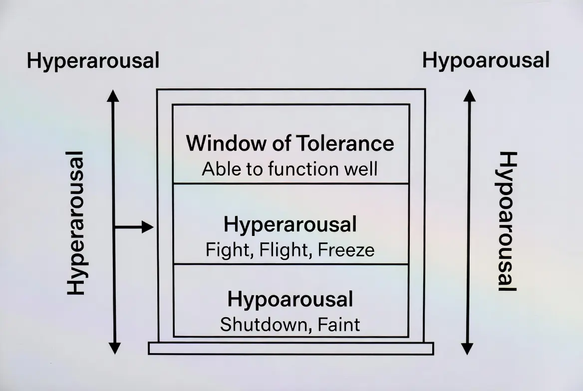 window of tolerance