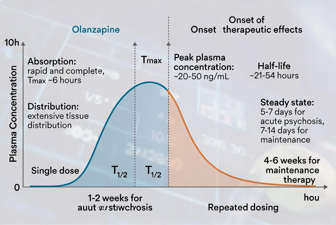 Pharmacokinetics How Long Does It Take to Work
