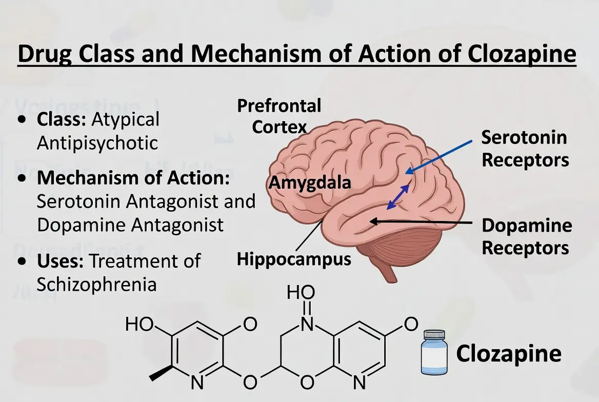 Drug Class and Mechanism of Action