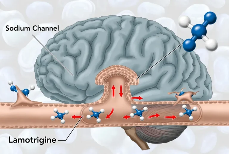 How Lamotrigine Works