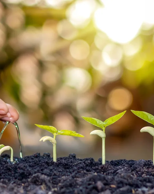 What Is the 4 Basic Personality Types Test?