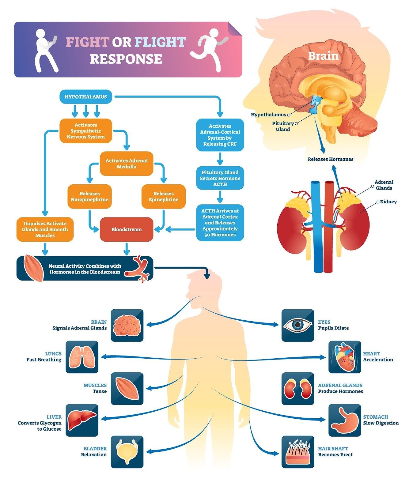 Sensory Overload Symptoms & Signs