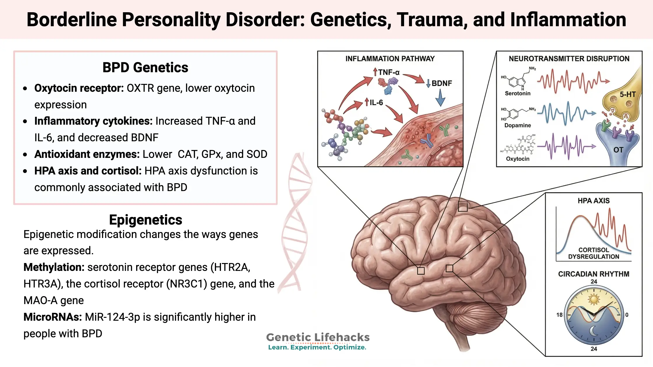 Is Borderline Personality Disorder Genetic
