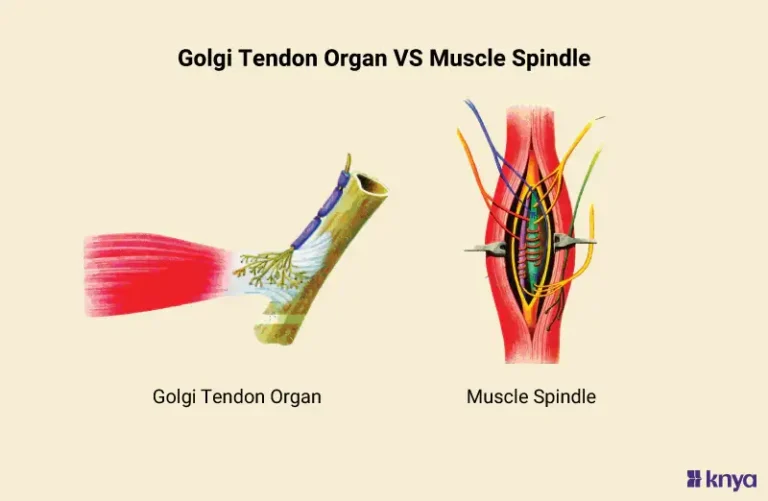 Proprioceptive Input