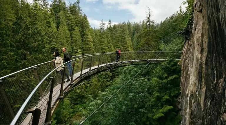 Suspension Bridge Effect