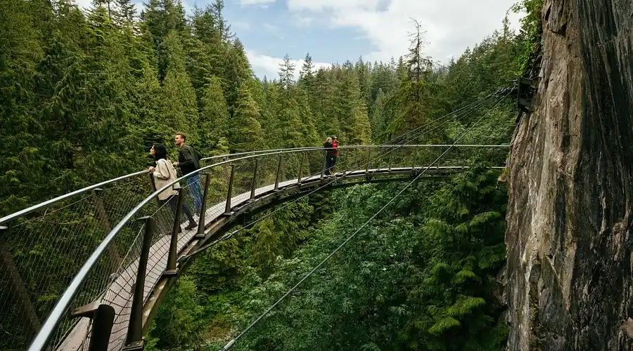 Suspension Bridge Effect